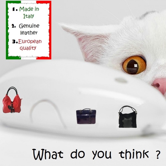 Meet your Posher, Max - Picture 3 of 6